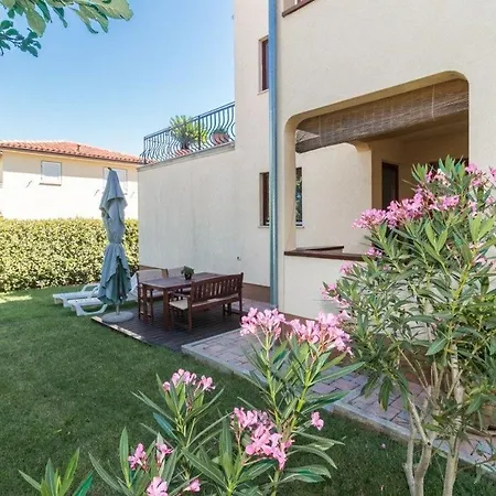 Guest house House Romy