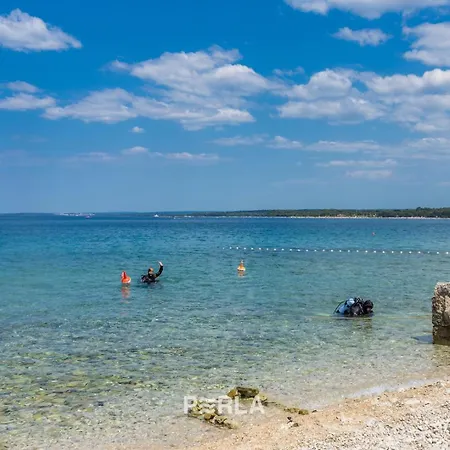 House Romy Konukevi 4*