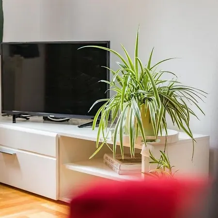 House Romy Konukevi 4*