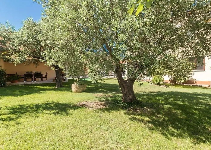 Guest house House Romy 4*