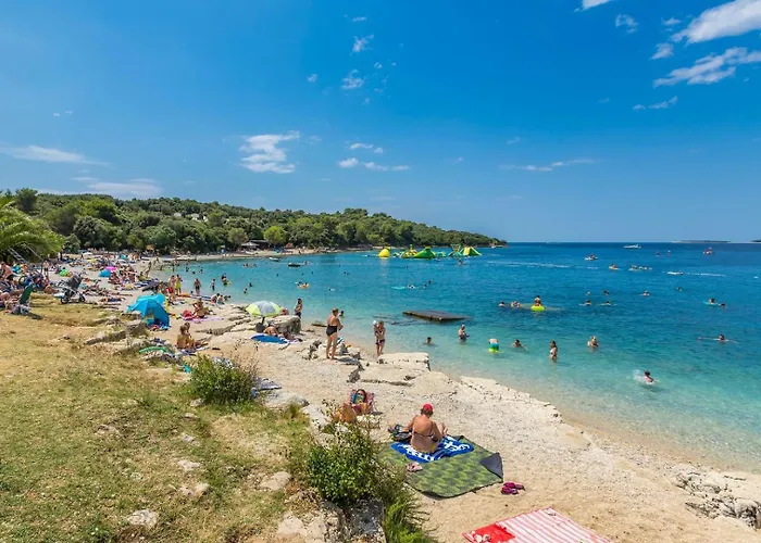 Guest house House Romy 4*